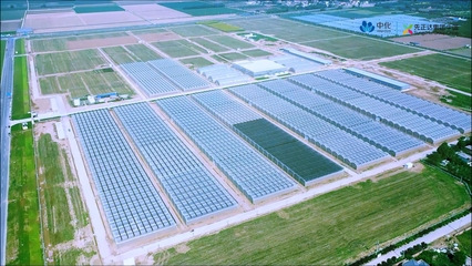 錨定農(nóng)業(yè)強(qiáng)國目標(biāo) 先正達(dá)集團(tuán)以生物農(nóng)藥技術(shù)研發(fā)驅(qū)動農(nóng)業(yè)現(xiàn)代化轉(zhuǎn)型